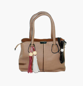 Leather Bag 2